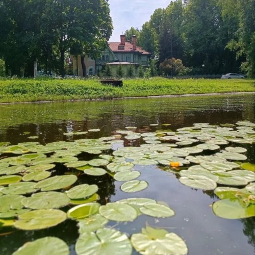 Каменный остров: добро пожаловать в тайный сад императора