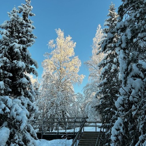 От каменного века до викингов, от Кижей до Рускеалы: индивидуально по Карелии