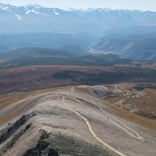 Лиловый наряд Алтая: путешествие по знаковым локациям и цветение маральника