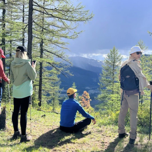 Интернет-детокс и отдых от забот и суеты в горах Алтая