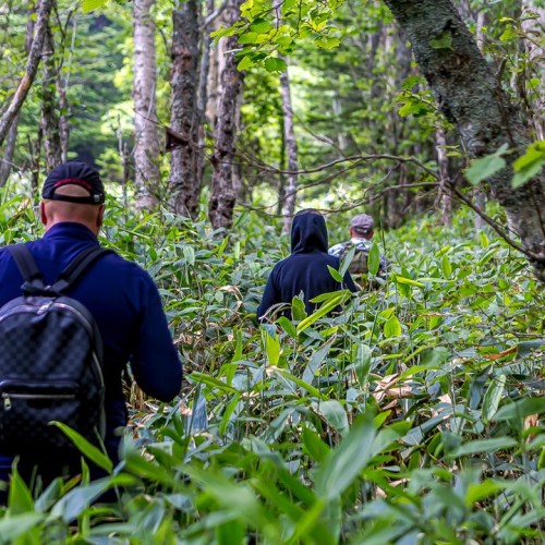 На Кунашир за вулканическими пейзажами: активное путешествие на внедорожнике в мини-группе