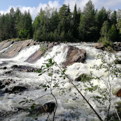 Путешествие-перезагрузка у Белого моря только для вас: природа Кандалакши и древний лабиринт