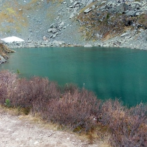 Красоты Чемала и Зачемалья — из Горно-Алтайска