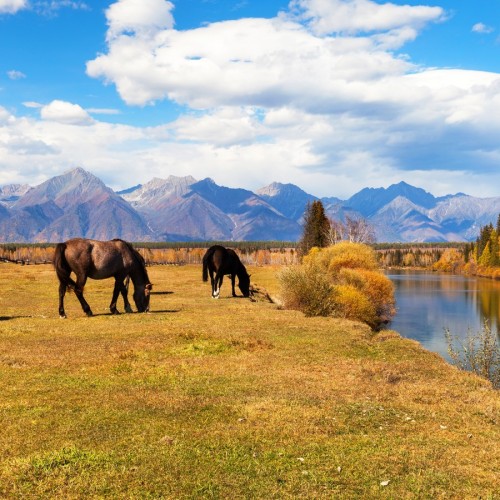 Из Иркутска в Тункинскую долину и на Байкал в мини-группе: термальные источники и природа