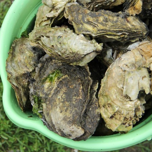 Объятый ветрами: автопутешествие по знаковым локациям Сахалина