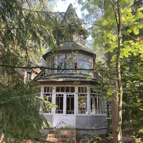 Лесная сторона Комарово: от дач до «будки» Ахматовой