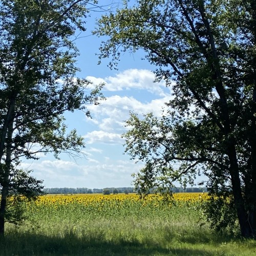 Из Самары — в замок Гарибальди