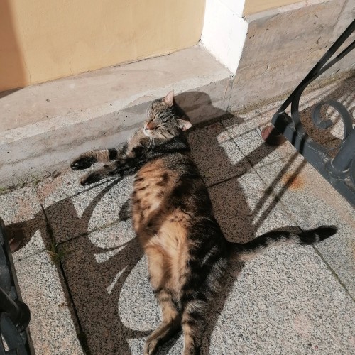 Последний год Пушкина (в мини-группе)