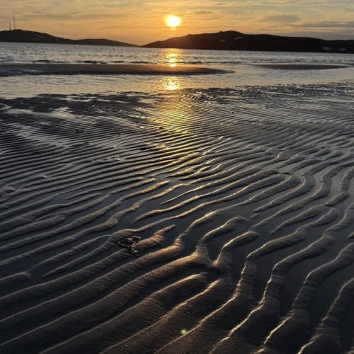 Экспресс-выезд в Териберку: гастрономия, северное сияние, главные места, хаски и олени