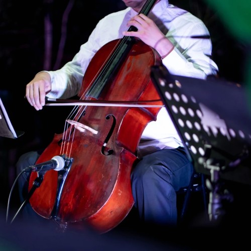 Концерт в оранжерее Таврического сада