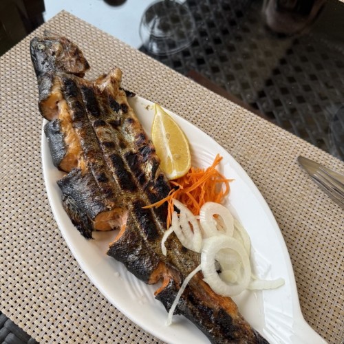 Зимний Домбай: осваиваем склоны Мусса-Ачитары, катаемся на квадроциклах и ловим форель