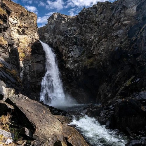 Когда Алтай оживает: цветение маральника, озёра и перевалы Чуйского тракта (мини-группа)