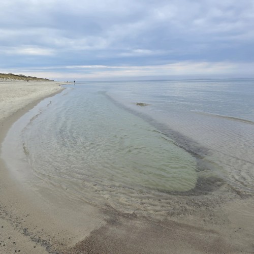 Куршская коса — царство моря, дюн и птичьих голосов