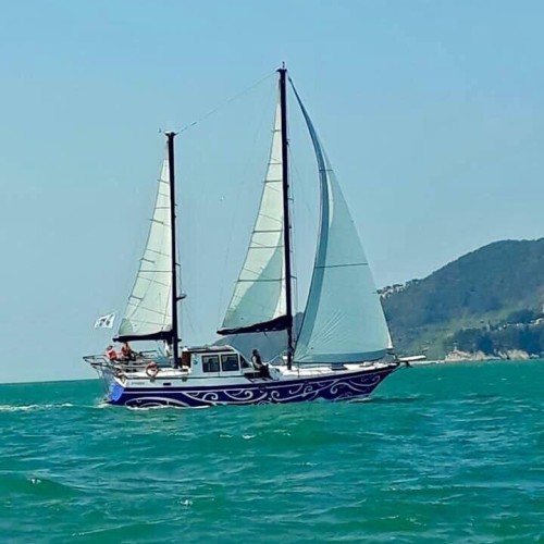 По волнам Японского моря на яхте с маской, сапом и деликатесами (мини-группа)