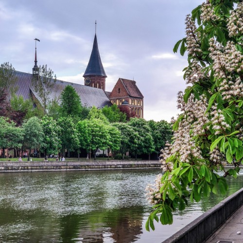 Первый раз в Калининград: истории знаковых мест и редко посещаемых локаций