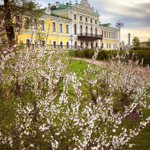 Тверь. Комедия в старом городе (в группе)
