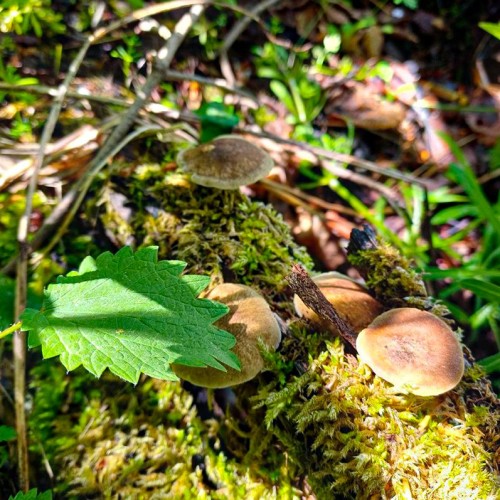 Весенний Архыз: треккинг налегке с проживанием в гостинице