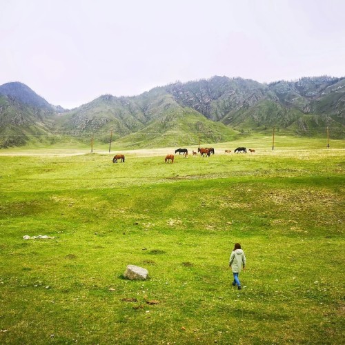 Два дня с инопланетным Алтаем: Чуйский тракт, Гейзеровое озеро и марсианские горы