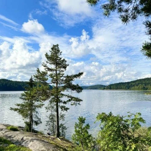 Водная стихия Карелии: от Онеги до Ладоги с проживанием в загородном комплексе