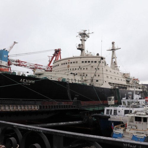 Наедине с северной природой: выходные в лесу с прогулками по Териберке и Мурманску