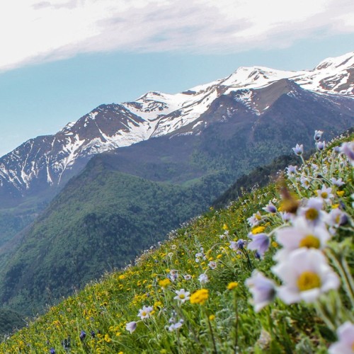 Треккинг-тур в Архыз с комфортом: прогулки в горах налегке с проживанием в гостевом доме
