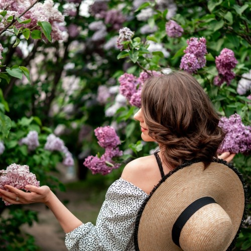 На цветение сирени в Ивановку: фестиваль, усадьбы и торжество романса