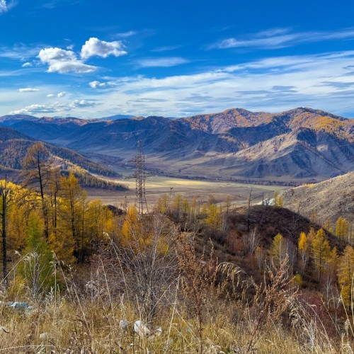 Из Алтая, по Чуйскому тракту — в Монголию на фестиваль беркутчи с проживанием в юрте