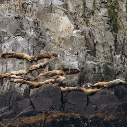 Океан впечатлений на Камчатке с фотографом: треккинги, спа, обед с видом на горы и ночь в глэмпинге