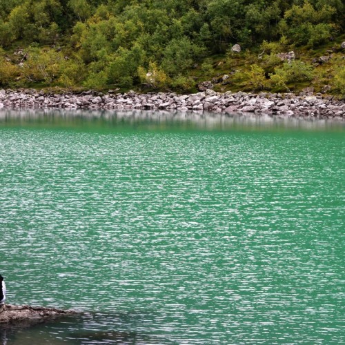 Лёгкий треккинг в горах Домбая с комфортом