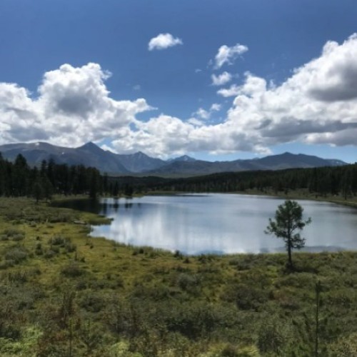 Алтайская кругосветка: на минивэне по кольцевому маршруту и топовым локациям