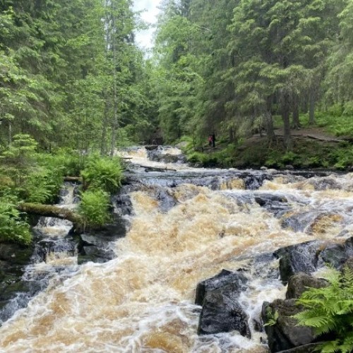 Автопутешествие по Карелии: топовые и секретные места, эксклюзивные отели и норвежские пейзажи