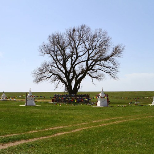 Тур-погружение в культуру Калмыкии: от степных легенд до буддийских святынь