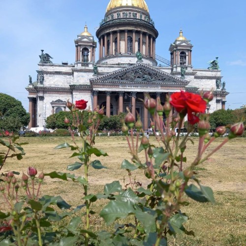 Добро пожаловать в Петербург!