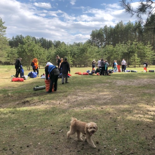 Сплав на байдарках по реке Осуге (всё включено)