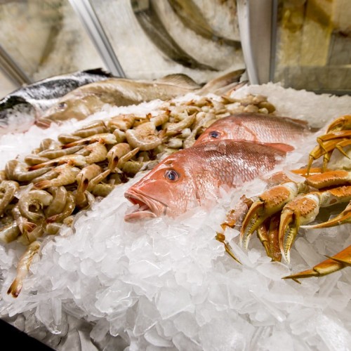 Сахалин, Кунашир и Шикотан: 2 недели на краю света