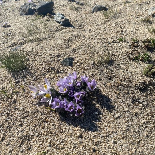 Байкал только для вас: путешествие по главным местам Листвянки, Ольхона и Аршана