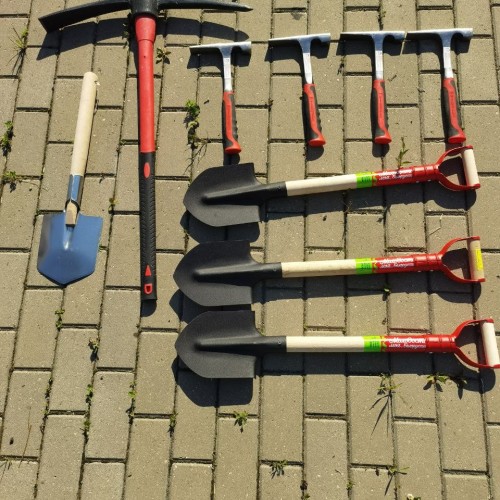 За окаменелостями музейного уровня в Ярославскую область с палеонтологом