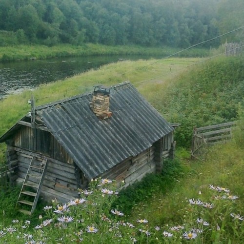 В гости к вепсам: традиции и пейзажи с картин живописцев