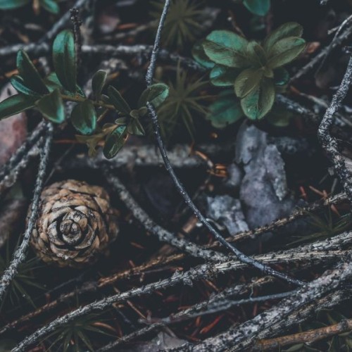 Вода, скалы и чистейший воздух: горный парк «Рускеала» и «Ладожские шхеры»