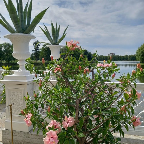 В мире мечтаний и грёз: парк «Александрия» в Петергофе