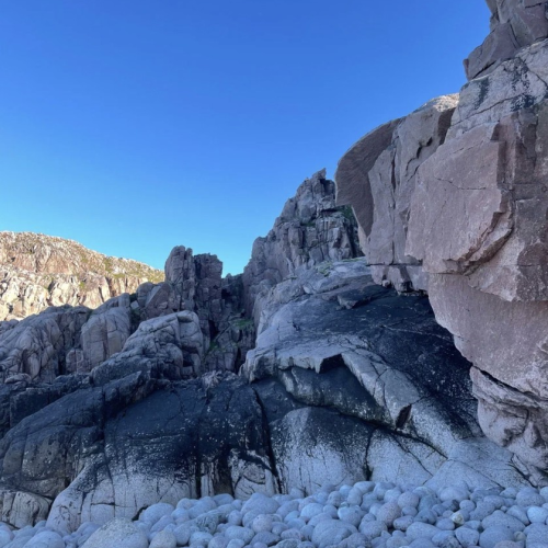 Уик-энд на Кольском: дегустация морепродуктов, Териберка, киты и экскурсия по Мурманску