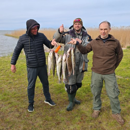 Рыбалка на спиннинг в Балтийском море и его заливах