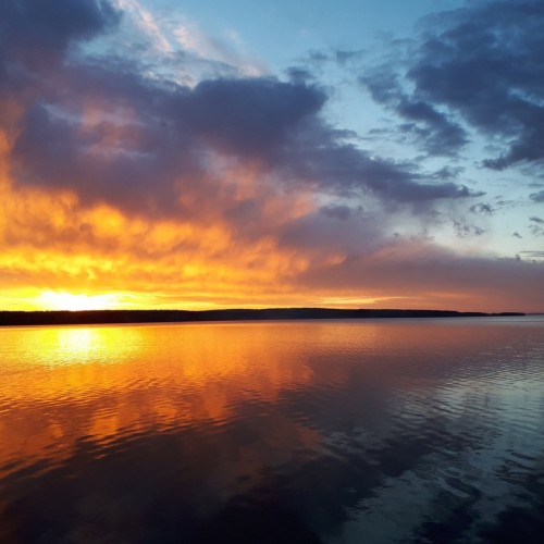 Результативная рыбалка на Гусином озере в своей компании