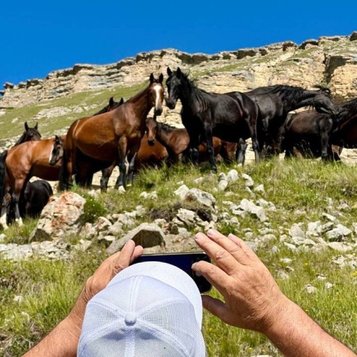Всё лучшее на Кавказе — для вас: топ-локации, кухня, отдых на источниках, конная прогулка, рыбалка