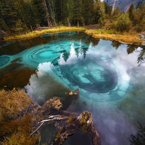 По Чуйскому тракту с алтайским гидом-музыкантом