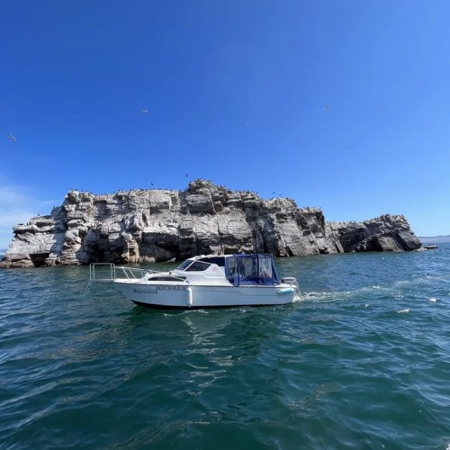 Два глубочайших озера-брата: путешествие на север Монголии и на Ольхон