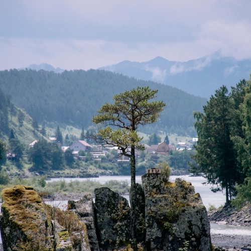 Алтайский максимум: все главные достопримечательности за неделю с комфортом (мини-группа)