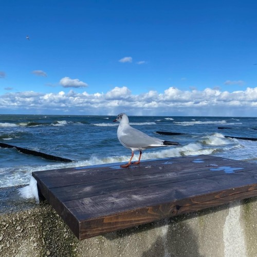 Время для себя: индивидуальное путешествие по балтийскому побережью