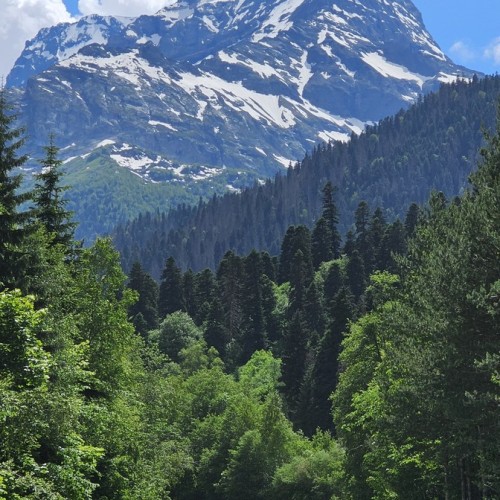 В объятия кавказских великанов: индивидуальная поездка в Домбай и Архыз