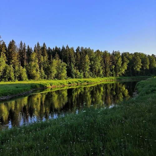 Река с картин: лёгкий сплав на байдарках по Тверце (всё включено)
